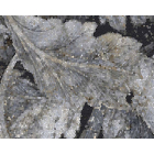 Fliesen 60x120 Emil Ceramica Tele di Marmo Revolution EHAV | Edilceram Design