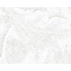 Fliesen 60x120 Emil Ceramica Tele di Marmo Revolution EHAU | Edilceram Design