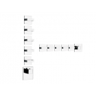 Gessi Rettangolo Wellness 43220 Thermostat-Brausebatterie für die Wandmontage | Edilceram Design